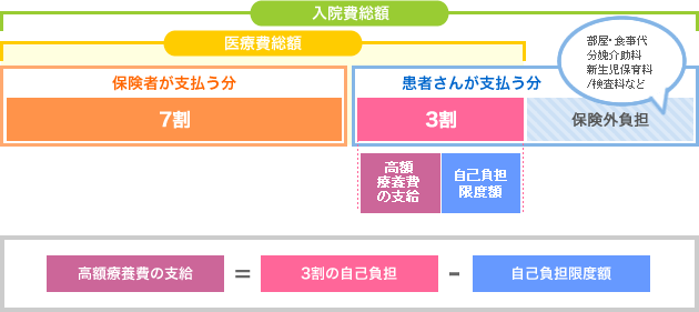 制度 費 帝王 医療 切開 高額